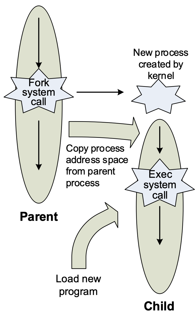 process fork 과정